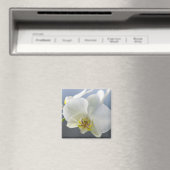Witte Orchidee Bloem Magneet (Insitu (Vaatwasser))