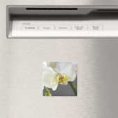 Witte Orchidee Bloem Magneet (Insitu (Vaatwasser))