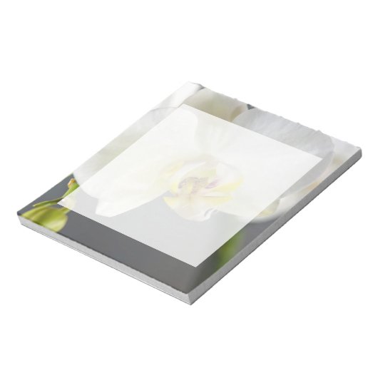 Witte Orchidee Bloem Notitieblok (Linkerzijde)