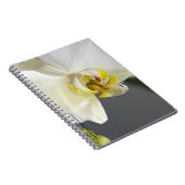 Witte Orchidee Bloem Notitieboek (Rechterzijde)