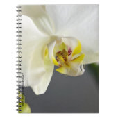 Witte Orchidee Bloem Notitieboek (Voorkant)