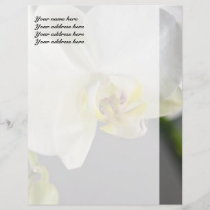 Witte Orchidee Bloem Persoonlijk Briefhoofd
