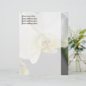 Witte Orchidee Bloem Persoonlijk Briefhoofd (Staand voorkant)