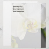 Witte Orchidee Bloem Persoonlijk Briefhoofd (Voorkant / Achterkant)