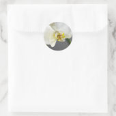 Witte Orchidee Bloem Ronde Sticker (Tas)