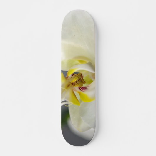 Witte Orchidee Bloem Skateboard (Voorkant)