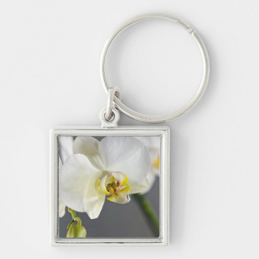 Witte Orchidee Bloem Sleutelhanger (Voorkant)