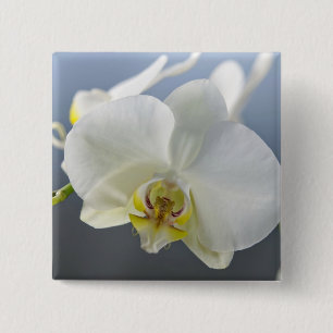 Witte Orchidee Bloem Vierkante Button 5,1 Cm