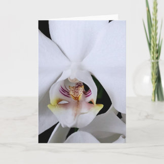 Witte orchidee bloem wenskaart kaart