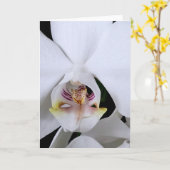 Witte orchidee bloem wenskaart kaart (Gele Bloem)