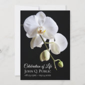 Witte Orchidee Bloemen op Zwart Viering van het Le Kaart (Voorkant)
