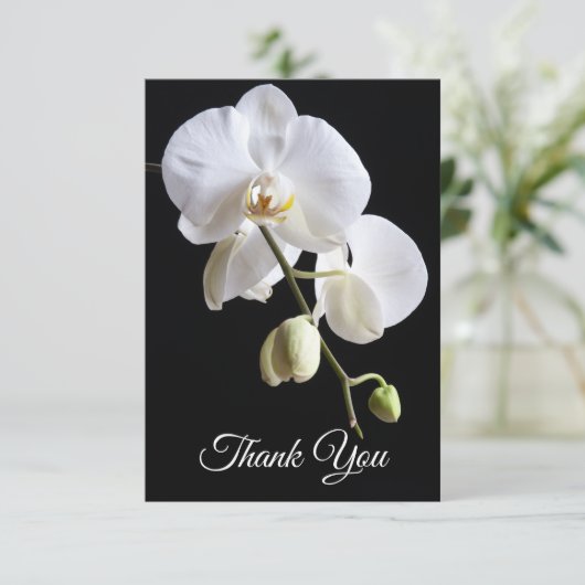 Witte orchidee bloemen op zwarte begrafenis sympat bedankkaart (Staand voorkant)