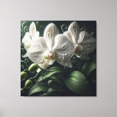 Witte orchidee bloemig canvas afdruk (Voorkant)