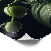 Witte orchidee bloemig perfect poster (Hoek)