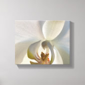 Witte Orchidee Bloesem Canvas Afdruk (Voorkant)