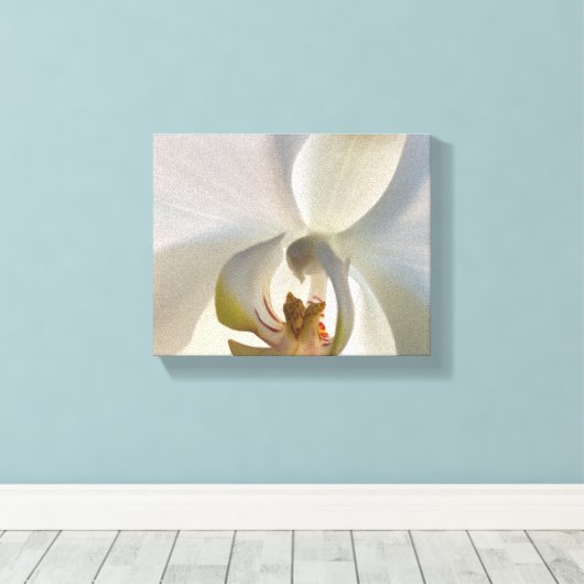 Witte Orchidee Bloesem Canvas Afdruk (Insitu (Houten vloer))
