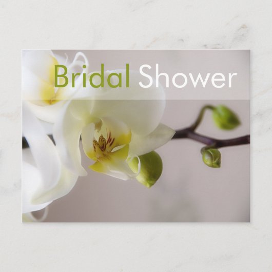 Witte Orchidee · Bridal Shower Invitation Briefkaa Uitnodiging Briefkaart (Voorkant)