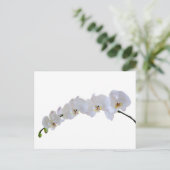 Witte orchidee briefkaart (Staand voorkant)