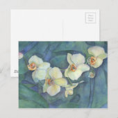 Witte orchidee briefkaart (Voorkant / Achterkant)