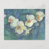 Witte orchidee briefkaart (Voorkant)