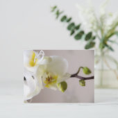 Witte orchidee · Briefkaart (Staand voorkant)
