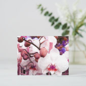 witte orchidee briefkaart (Staand voorkant)