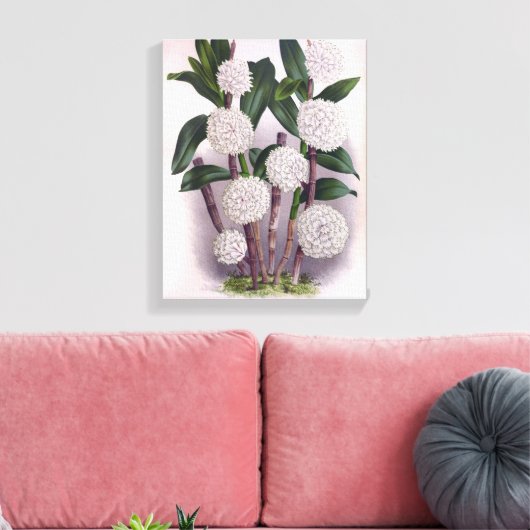  witte orchidee Dendrobrium Purpurem Canvas Afdruk (Insitu (Woonkamer))