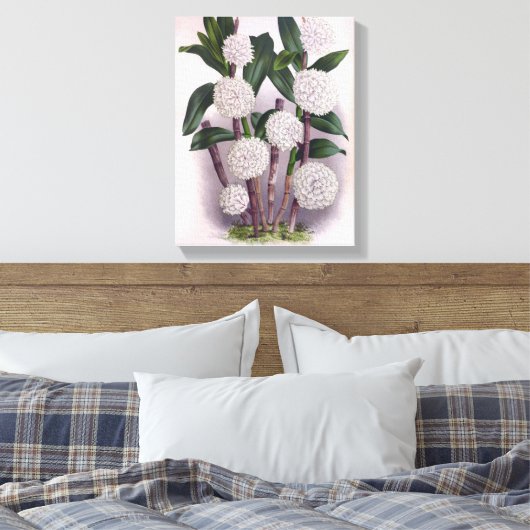  witte orchidee Dendrobrium Purpurem Canvas Afdruk (Insitu (Slaapkamer))