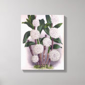  witte orchidee Dendrobrium Purpurem Canvas Afdruk (Voorkant)