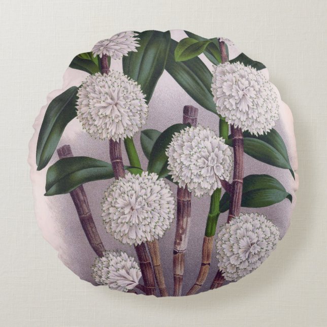  witte orchidee Dendrobrium Purpurem Rond Kussen (Voorkant)