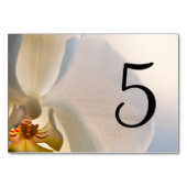 Witte orchidee elegantie tafel nummers kaart (Achterkant)