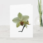 Witte Orchidee Feestdagen Kaart (Voorkant)