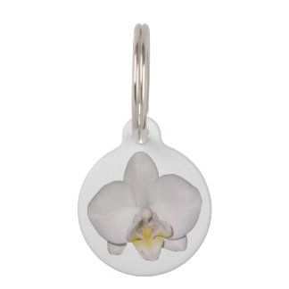 Witte Orchidee Huisdierentag Huisdierpenning