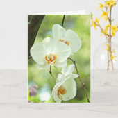 Witte Orchidee Kaart (Gele Bloem)