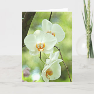 Witte Orchidee Kaart