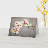 Witte Orchidee Kaart (Gele Bloem)