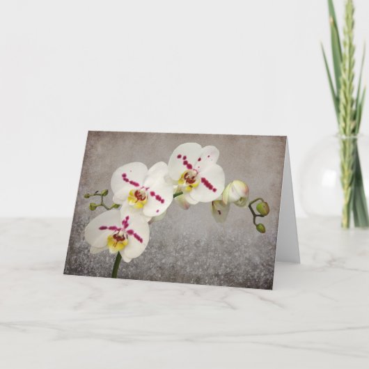 Witte Orchidee Kaart (Voorkant)