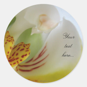 Witte Orchidee Magische Bruiloft Uitnodiging Seals Ronde Sticker