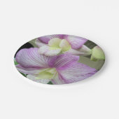 Witte orchidee met paars op een papieren bord (Gekanteld)