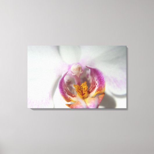 Witte orchidee met paarse en gele canvas afdruk (Voorkant)