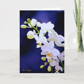 Witte orchidee op de Kaart van de (Voorkant)