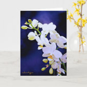 Witte orchidee op de Kaart van de (Gele Bloem)