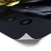 Witte Orchidee Op Zwarte Stenen Poster (Hoek)