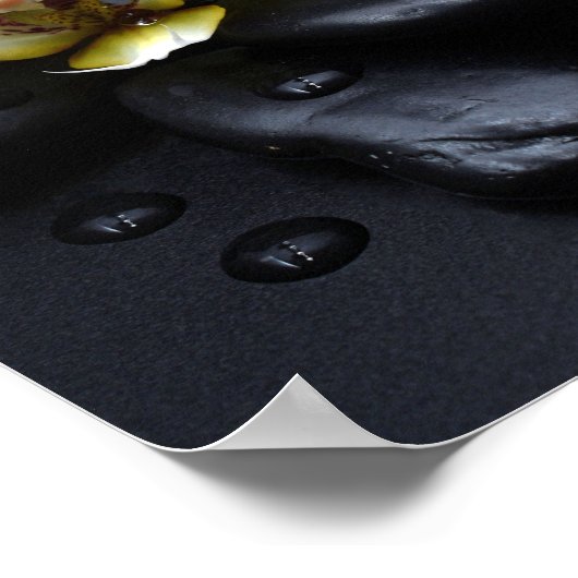 Witte Orchidee Op Zwarte Stenen Poster (Hoek)