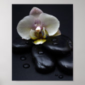 Witte Orchidee Op Zwarte Stenen Poster (Voorkant)
