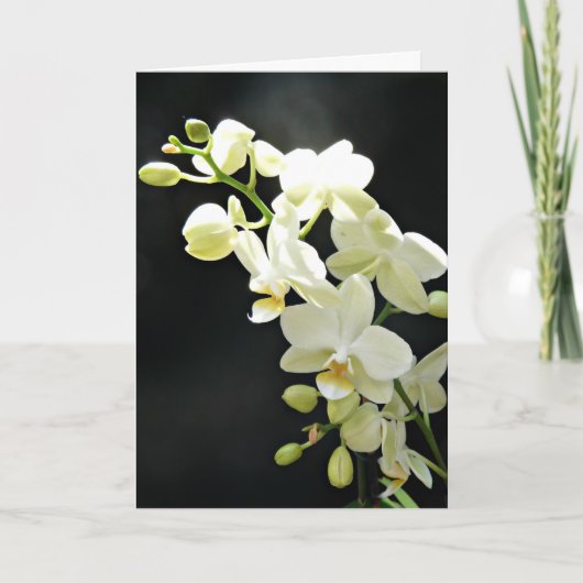 Witte orchidee op zwarte verjaardag Kaart (Voorkant)