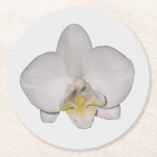 Witte Orchidee Papier Onderzetter