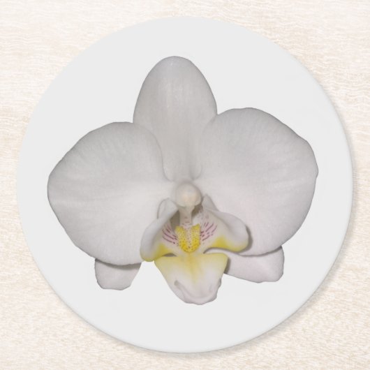 Witte Orchidee Papier Onderzetter (Voorkant)