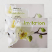 Witte Orchidee · Party Invitation Briefkaart (Voorkant / Achterkant)