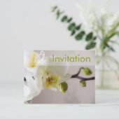 Witte Orchidee · Party Invitation Briefkaart (Staand voorkant)
